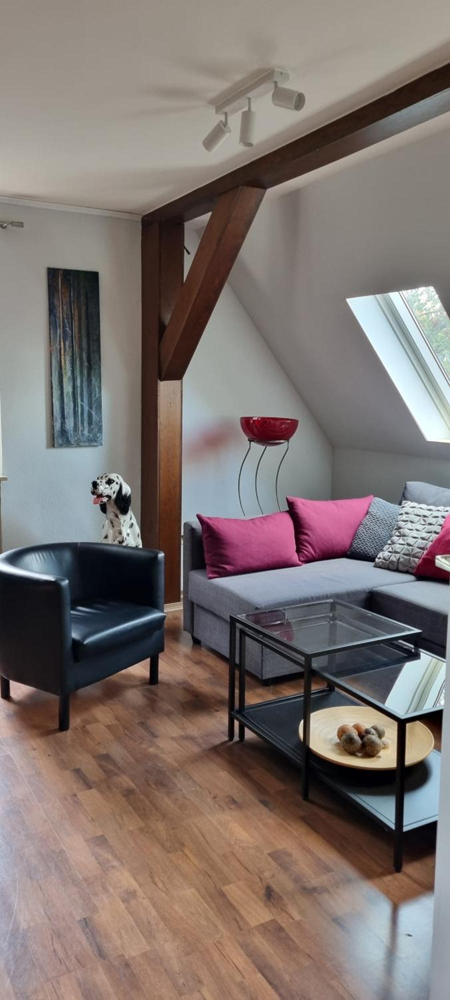 Drachenburg Apartman Marktbreit Kültér fotó